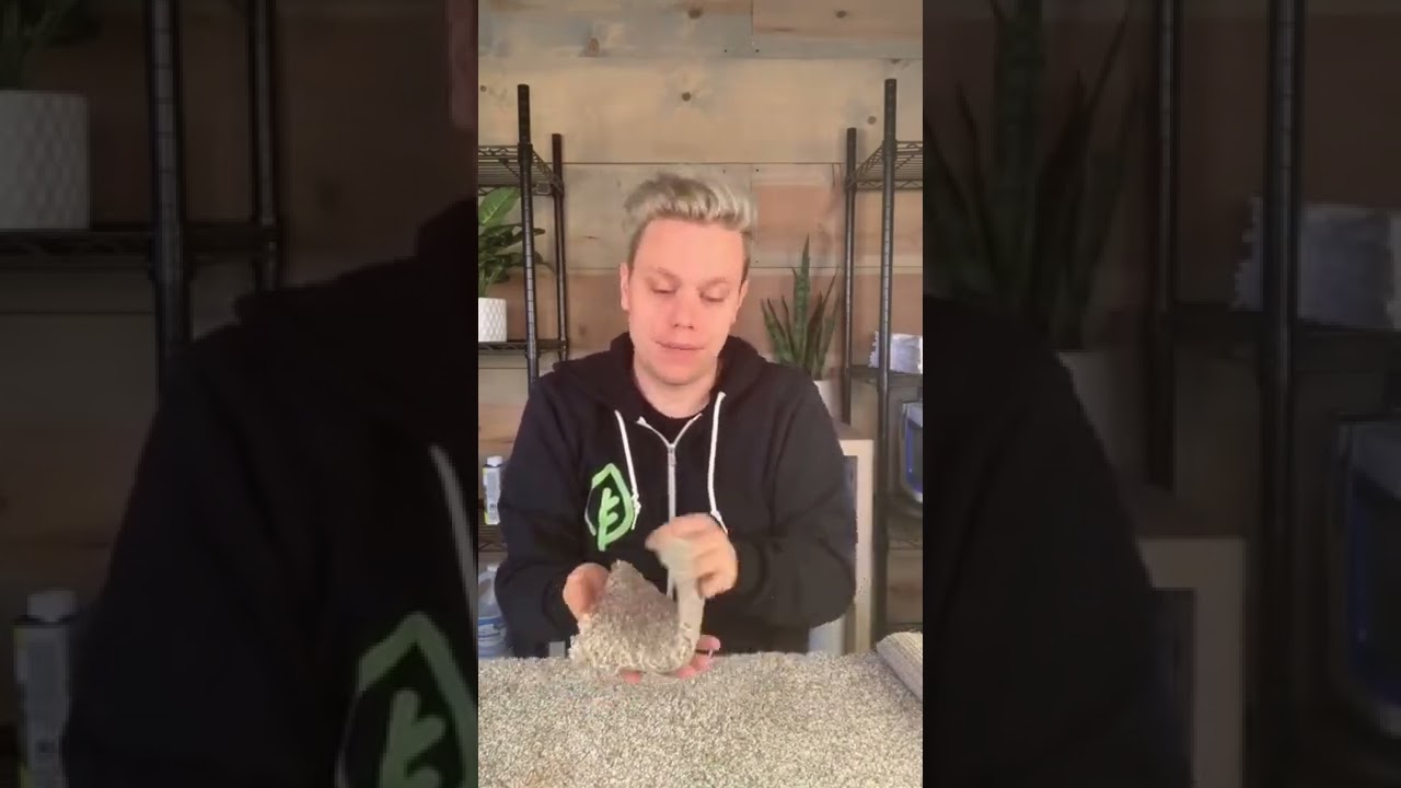 Why carpet spots come back after cleaning 