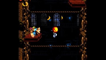 Donkey Kong Country 3: Dixie Kong