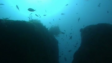 WASSP multibeam sonar WMB-160F - Mapping