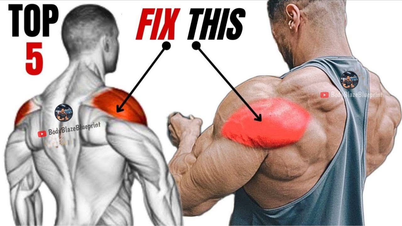Best Rear Delt Exercises That Builds Bigger // Top-5 Workout 