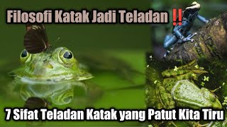 Inilah 7 Sifat Teladan Seekor Katak yang Patut Kita Manusia Tiru, Filosofi Katak ‼️