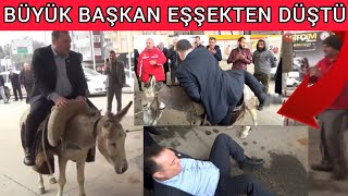 Akaryakıt Zammını Protesto Edeyim Derken Eşşekten Düştü