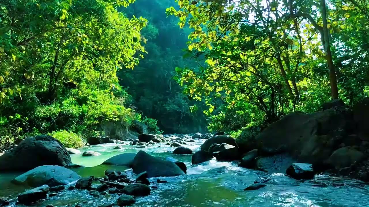 Nature’s Pulse – River Flow for Focus, Sleep, and Healing | Sacred Stream Echoes