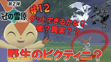 تحميل ポケモンbw2アルセウス入手方法 تحميل ポケモンbw2アルセウス入手方法