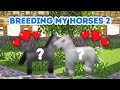 Breeding My Horses 2 (Subscriber's vote!)