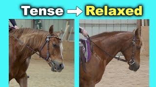 HOW TO STOP A HORSE PULLING ON THE REINS