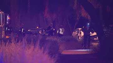 2-year-old, man killed in wrong-way crash
