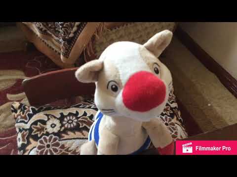 იხვის ტელევიზია