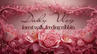 Daily Vlog | forest walk, feeding rabbits