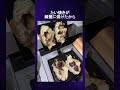 不器用、ドジっ子選手権!Part 6!大惨事からのプラス思考!
