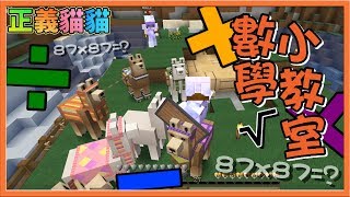 【巧克力】『正義貓貓』一 正義貓貓數學小教室! || Minecraft 賞金公會 UHC生存 【巧克力】『正義貓貓』一 正義貓貓數學小教室! || Minecraft 賞金公會 UHC生存