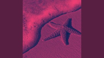 Scintillating Music for Summer Living