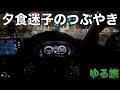 夜の信濃路で夕食迷子となった男のつぶやき。信州のそばが食べたいだけなんだが…。ゆる旅（芦田〜軽井沢）