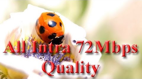 【 FHD 】 Panasonic Lumix DMC-GH3「 All Intra 72Mbps Quality 」