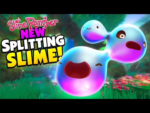 New* SPLITTER SLIME Multiplies when ANGRY! - Slime Rancher Mods