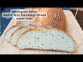 Gluten Free Sourdough Bread made with freshly milled Millet! (full demo, simple and easy process)