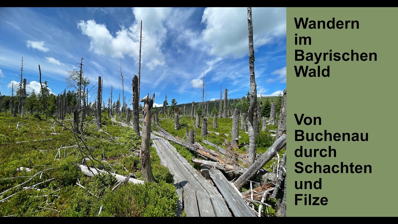 Bayrischer Wald – Von Buchenau um den Hirschberg durch Schachten und Filze