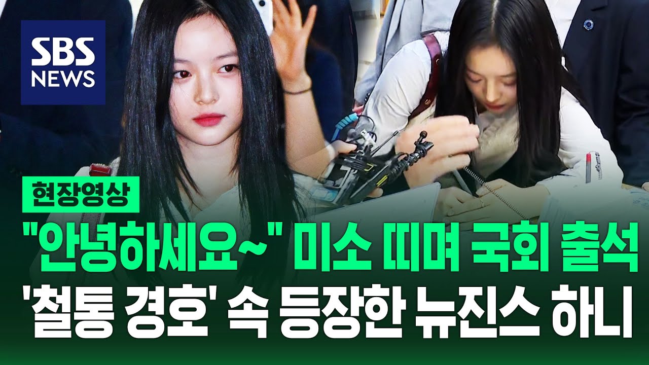 혼자서 국정감사 출석한 뉴진스 하니...