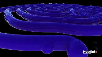 Reaction Diffusion in Houdini