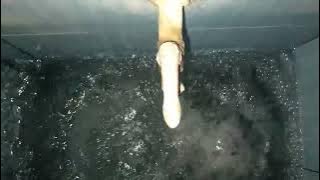 Mendengarkan Suara air keran sebagai sarana terapi rileksasi | terapi burung anti gagal