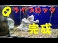 #4 DIY LIVEROCK/自作 ライブロック　後編