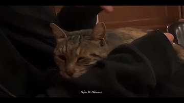 الآية الكريمة "حَتَّىٰ إِذَا ضَاقَتْ عَلَيْهِمُ الْأَرْضُ بِمَا رَحُبَتْ " سورة [التوبة: 118]