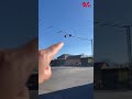 Возле Новопавловской школы № 1 опасно переходить дорогу