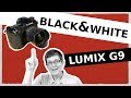 Black and White mode Panasonic Lumix G9 GX9 GH5: Monochrome