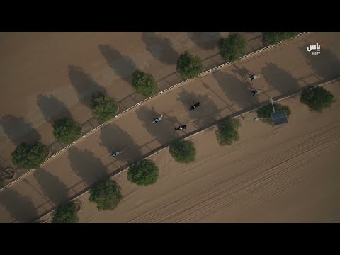 برنامج مهرجان الشيخ زايد حلقة 13 نوفمبر 2025