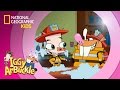 Kookamunga Project and Fire Safety