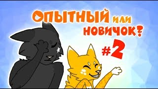 CatWar | Игра глазами новичка и опытного #2 screenshot 2