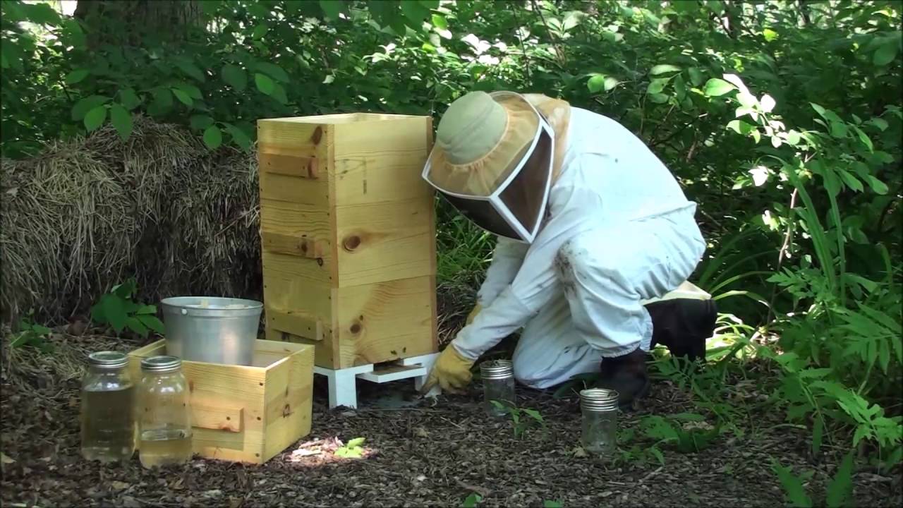 Feeding Bees and Adding a Box to a Warre' Hive