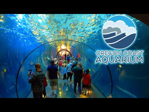 Oregon Coast Aquarium Ebt Discount