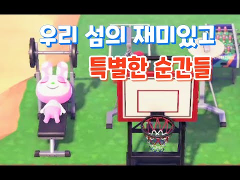 [ACNH]Fun and special moments.