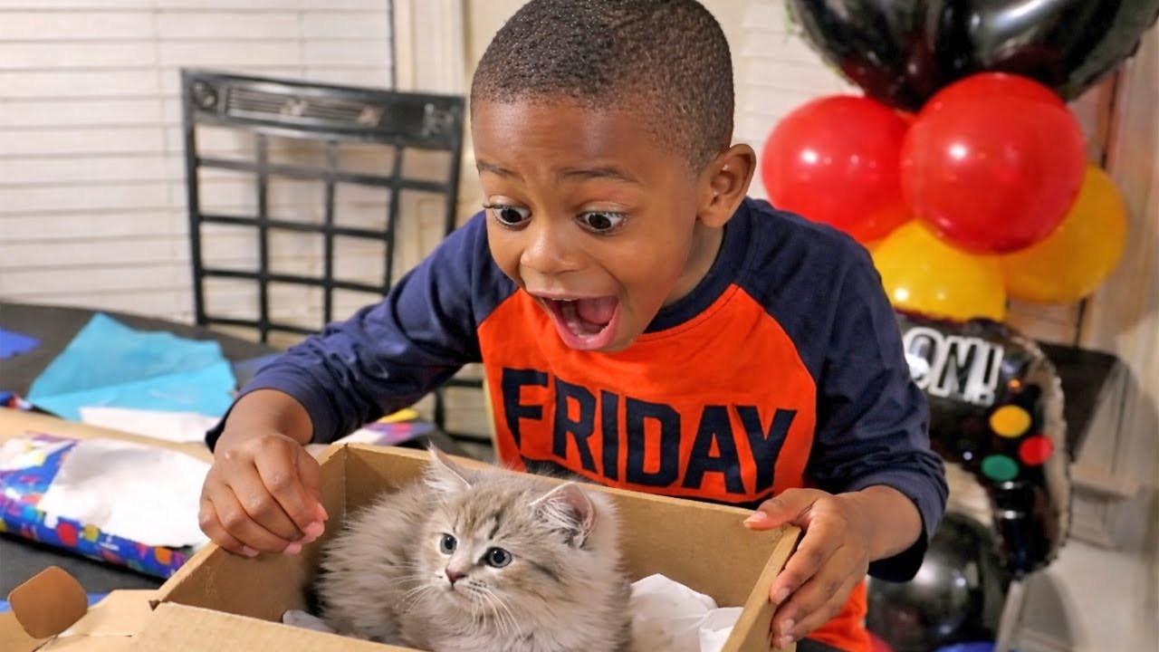 Try Not to Laugh - Crazy Baby Reaction with Gifts and Cards | Funny Baby Videos | Gods Laugh