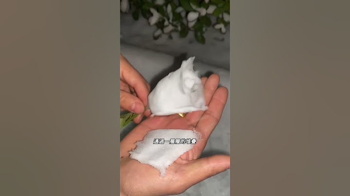 雪花玫瑰的浪漫