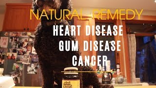 Best Natural Remedy for Heart Disease and Gum Disease