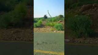 #account #avcwomen #fypppppppppppppppppppppppppppppppppppppppppppppppppppp #volag #fyppppppppシ