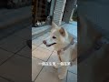 一個在生氣 一個在笑