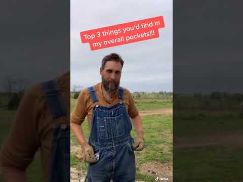 top-3-things-you'd-most-likely-find-in-my-overall-pockets.