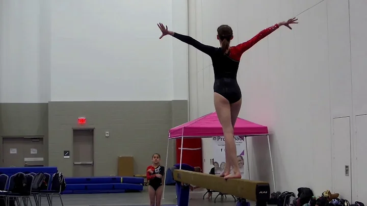 Cecilia Lockwood KY Winter Classic 2019 Level 7