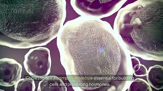 What actually causes high cholesterol - Hei Man Chan