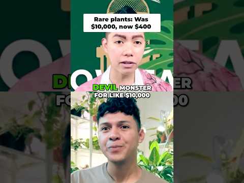 I Found Plants That Cost More Than a House! 🤯💰 With David Morales