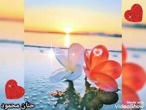 Shorts موسيقى ما بينا ميعاد لعمرو دياب ولحظةهدوء و تأمل 