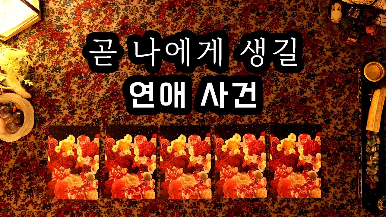 [타로] 곧 나에게 생길 연애 사건