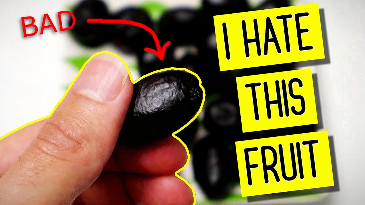 SAW PALMETTO Yes it Tastes Terrible, but is it Useful? Weird Fruit