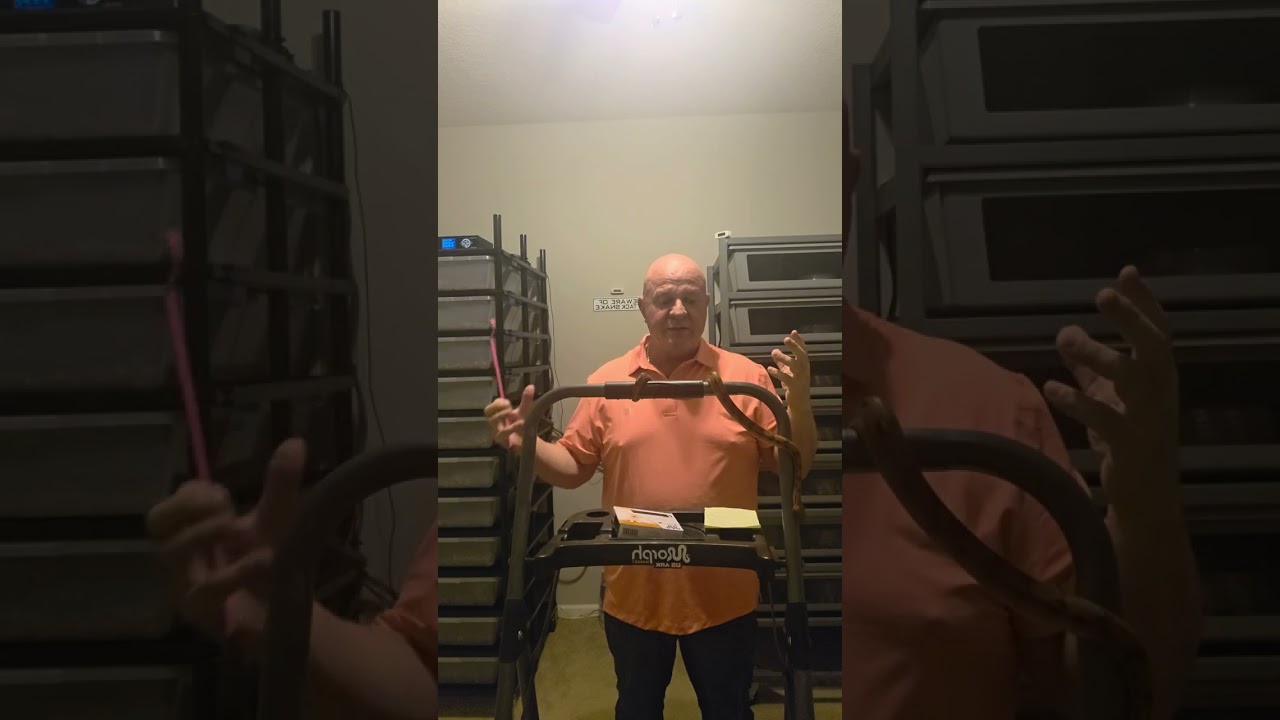 Get rid of snake mites forever! This is huge!