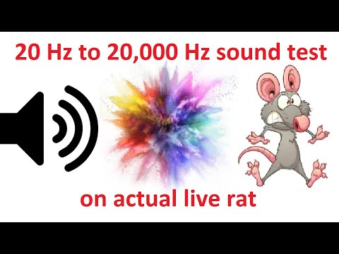 Video: Odpuzovače Myší: Ultrazvuková A Jiná Elektronická Zařízení Se Zvukem Odpuzujícím Krysy. Který Je Nejlepší Pro Domácnost? Leomax A Další Značky, Recenze