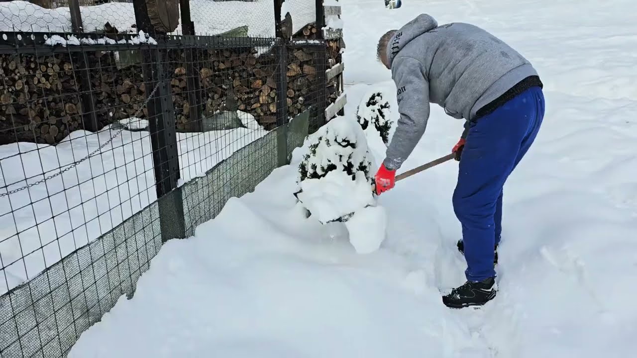 Lupta cu zapada la casuta de la tara ! (Snowed in