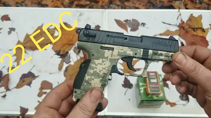 22 For Everyday Carry? (better than you think)